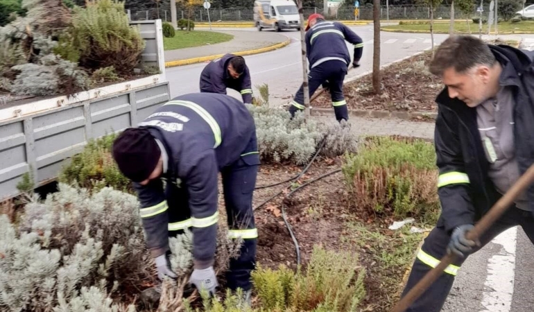 Körfez’de yeşil alanlar çiçeklerle süsleniyor