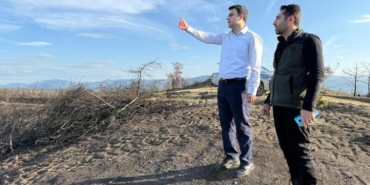 Yangın alanları yeşile bürünüyor