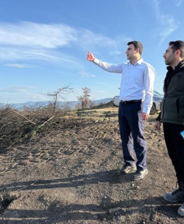 Yangın alanları yeşile bürünüyor