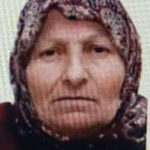 Bilecik’te kaybolan yaşlı kadını jandarma buldu