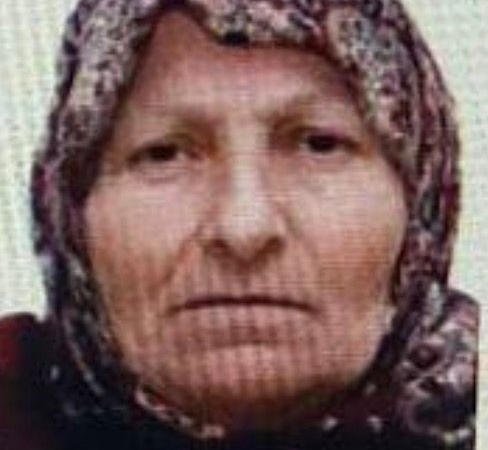 Bilecik’te kaybolan yaşlı kadını jandarma buldu