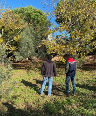 Tekirdağ’da ceviz bahçesinde hastalık ve zararlı kontrolü yapıldı