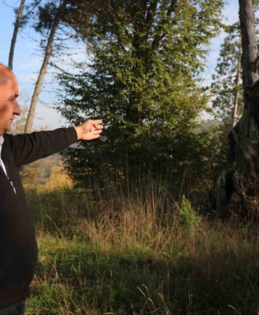 Maneviyat merkeziydi, otluk alana döndü: Mezarlıktan geriye çürümüş ağaç kaldı