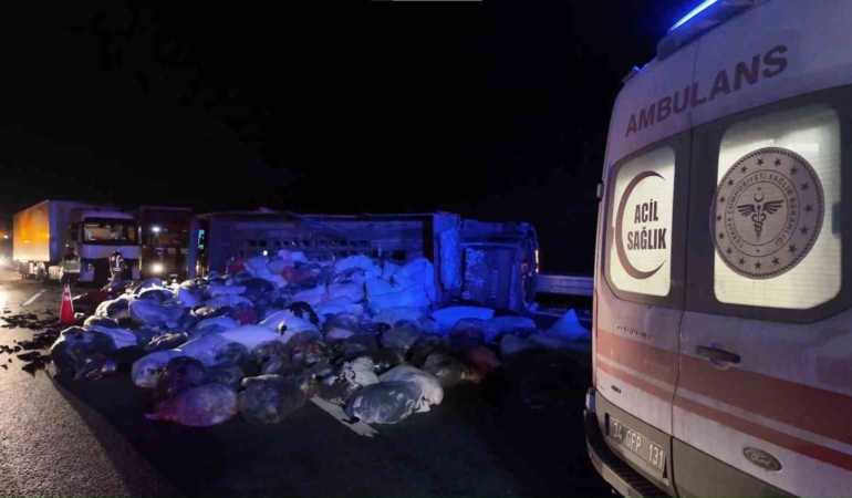 Kuzey Marmara Otoyolu’nda kamyonet devrildi: 2 yaralı