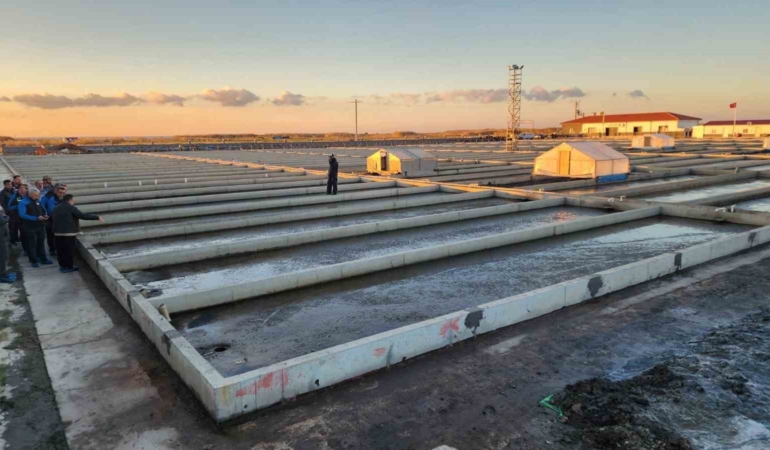 Çanakkale’deki deniz solucanları yetiştiriciliği tesisi sektörde tek