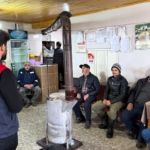 Kaliteli kaba yem et ve süt verimini arttırır