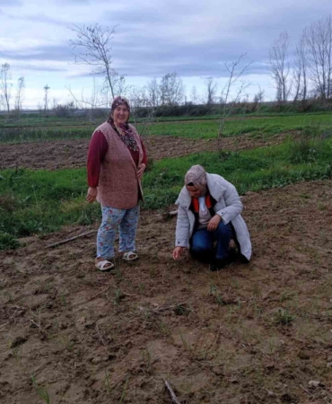 Babaeski’de sera ve sarımsak üretim alanlarında üretim şartları kontrol edildi