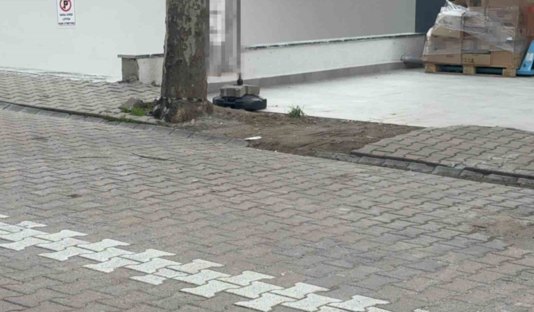 Çöpe atmak için yerden aldığı kargo poşetinin içinden 60 bin dolar çıktı