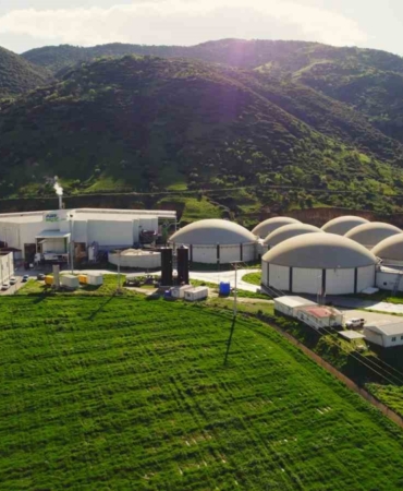 ARF Bio halka arz oluyor