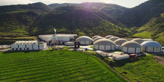 ARF Bio halka arz oluyor