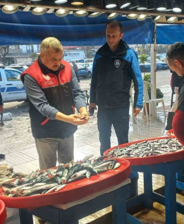 Denetim geldi, gerçek ortaya çıktı: Tezgahtaki balık "kolyoz" çıktı