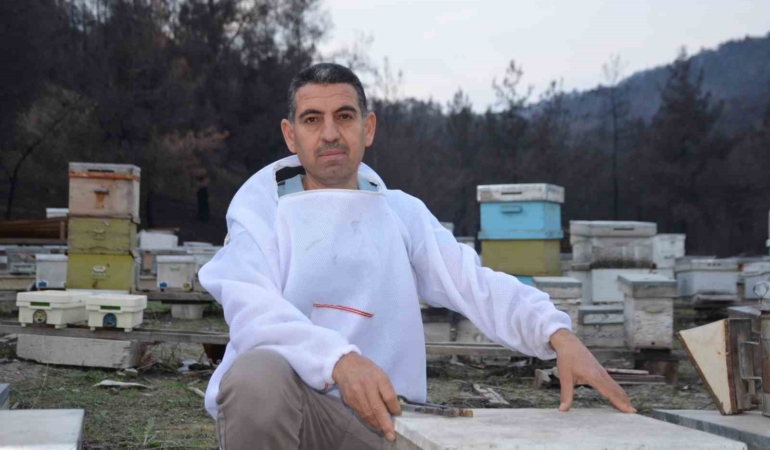 Ana arı üretiminde büyük başarı: Bir arı kovanıyla hobi olarak başladı, şimdi Türkiye’nin her yerine koloni gönderiyor