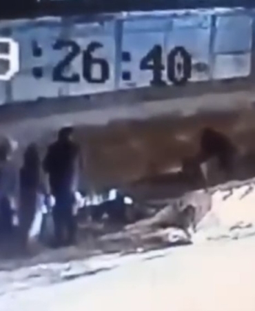 Demirtaş’ta başıboş köpek dehşetİ 3 kişi yaralandı