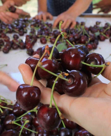 15 Aralık’ta okullarda "Coğrafi İşaret Günü" kutlanacak