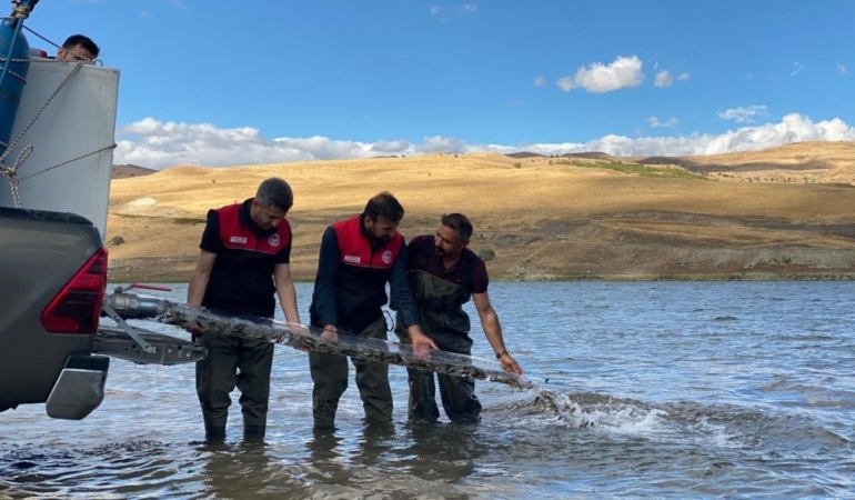 Türkiye nüfusu kadar balık deniz ve göllere bırakıldı