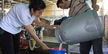 Şapın vurduğu üreticiler süt fiyatında güncelleme istiyor