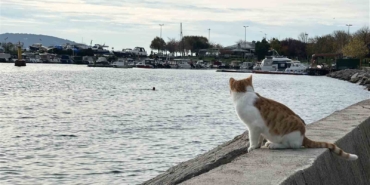 Kartal’da üşüten manzara: İki arkadaş soğukta denize girdi