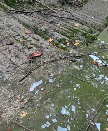 Beyoğlu’nda ağacın kırılan dalları binanın üzerine düştü