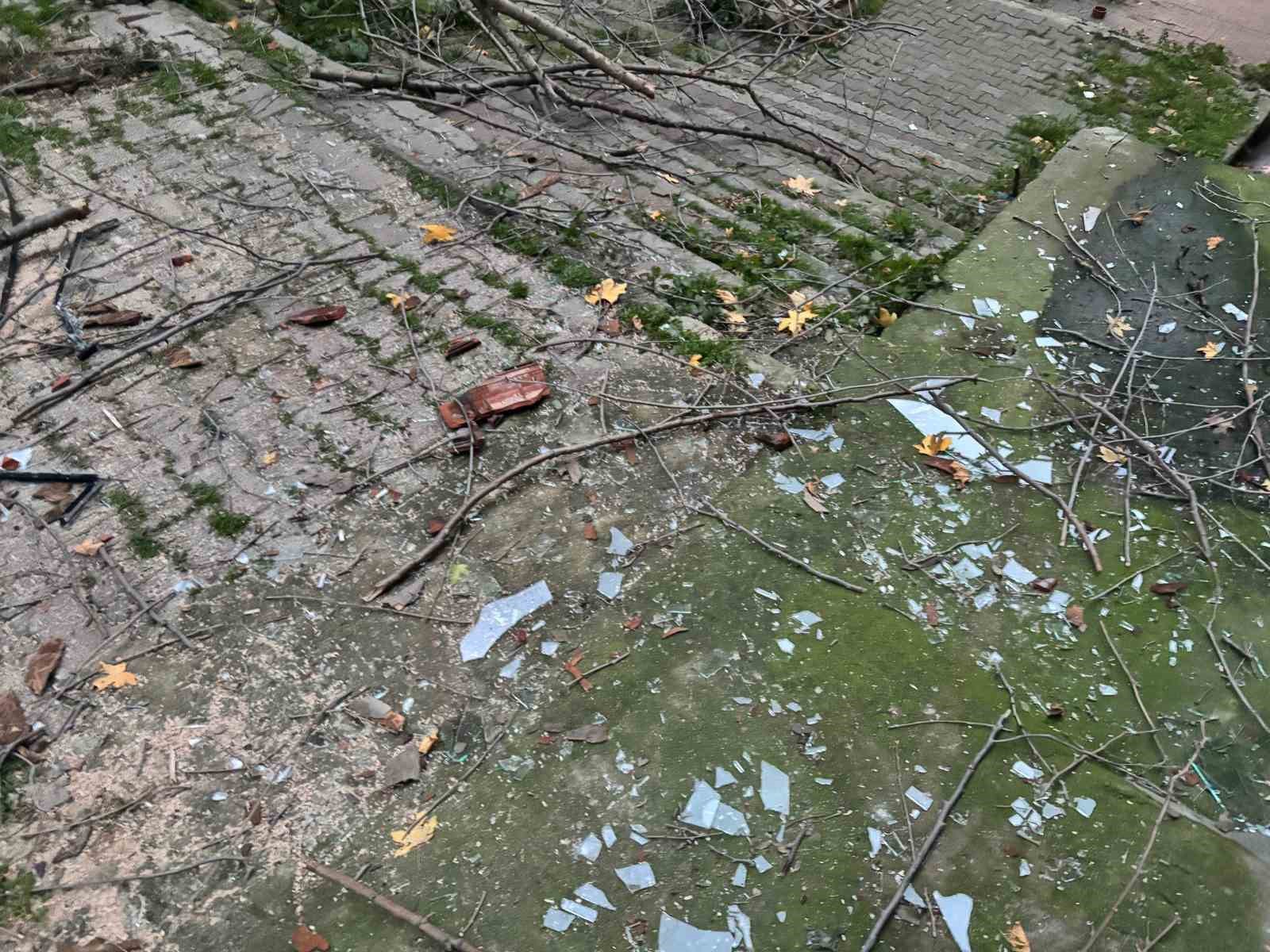 Beyoğlu’nda ağacın kırılan dalları binanın üzerine düştü