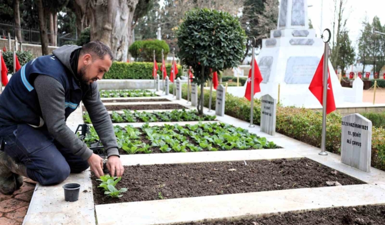 Kocaeli’de şehitliklerde bakım ve çiçeklendirme çalışması