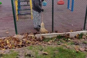 Bilecik’te temizlik seferberliği