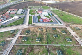 Avrupa standartlarında tesis: Sakarya Büyükşehir, sokak hayvanları için yeni bir dünya kurdu