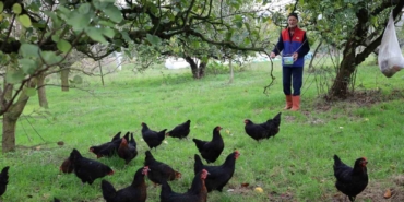 Kocaeli’de kırsal kalkınmaya "kanatlı" destek