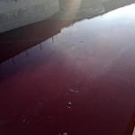 Esenyurt’ta derenin rengi kırmızıya döndü