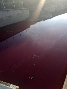 Esenyurt’ta derenin rengi kırmızıya döndü