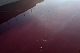 Esenyurt’ta derenin rengi kırmızıya döndü