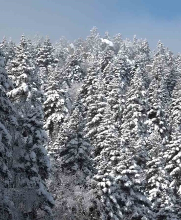 Uludağ’da göz gözü görmüyor