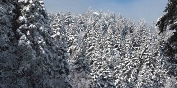 Uludağ’da göz gözü görmüyor