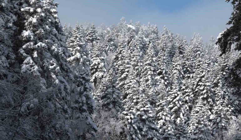 Uludağ’da göz gözü görmüyor