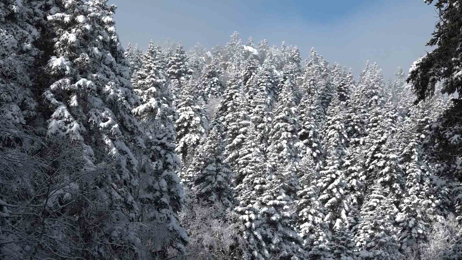 Uludağ’da göz gözü görmüyor