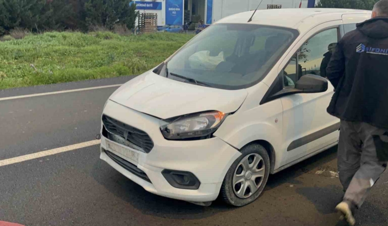 Başıboş köpeğe çarpan aracın sürücüsü yaraladı