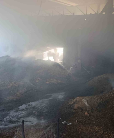 Vize’de palet fabrikasının deposunda yangın