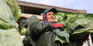 Hasadın yükünü kadınlar taşıyor: Yağmur, çamur demeden bin bir zorluklarla çalışıyorlar