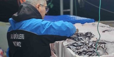 Gelibolu’da 45 kilo balığa el konuldu, 37 bin 770 lira para cezası kesildi