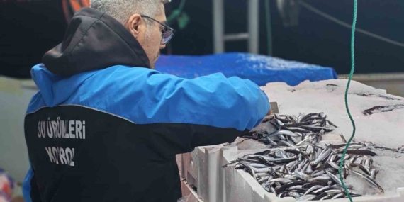 Gelibolu’da 45 kilo balığa el konuldu, 37 bin 770 lira para cezası kesildi