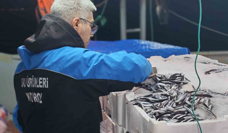 Gelibolu’da 45 kilo balığa el konuldu, 37 bin 770 lira para cezası kesildi