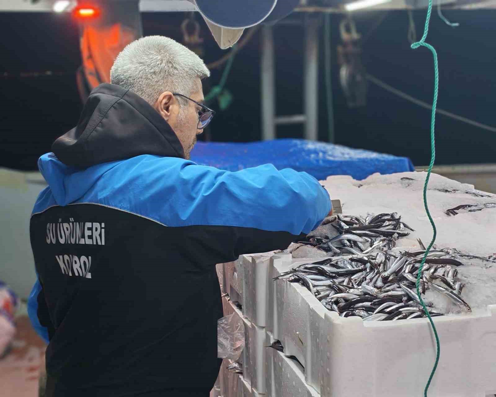 Gelibolu’da 45 kilo balığa el konuldu, 37 bin 770 lira para cezası kesildi