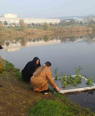 Botanik Bahçesinde "Yüzen Adacıklarla Gölet Temizliği" yapılıyor