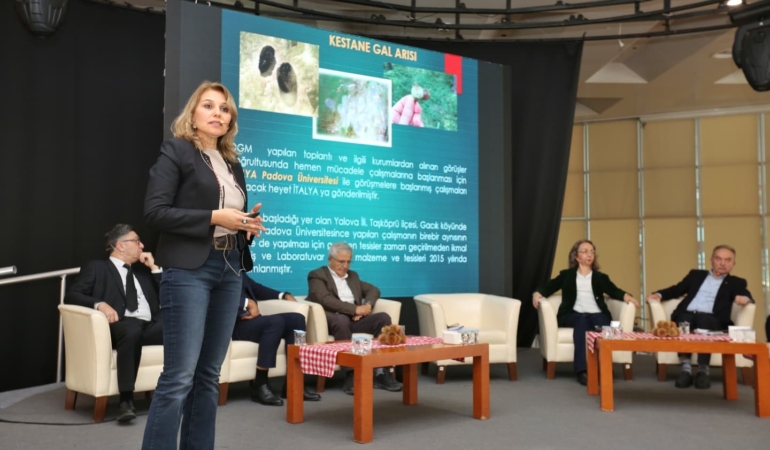 Kestane Büyükşehir’le filizleniyor