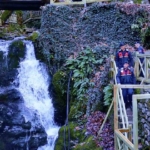 Ayazma Pınarı Tabiat Parkı jandarmaya emanet