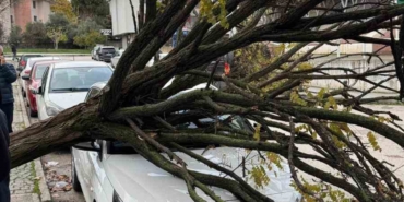 Bursa’da devrilen ağaç korku dolu anlar yaşattı