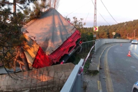 Pendik’te kamyonet kontrolden çıktı: Faciayı ağaçlar önledi
