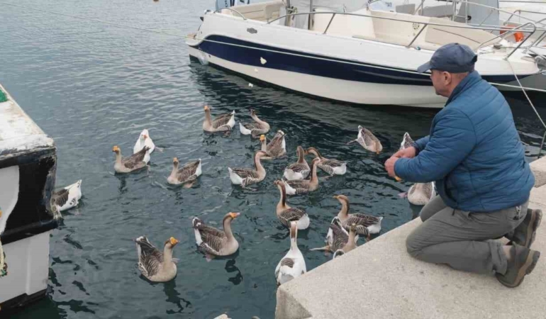 Şarköy’ün maskotu ’Vakvaklar’