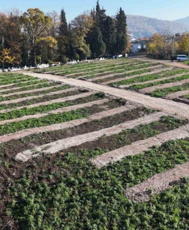 Gölcük’e yeni mezarlık alanları hazırlandı