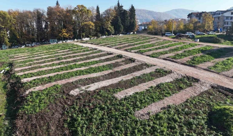 Gölcük’e yeni mezarlık alanları hazırlandı