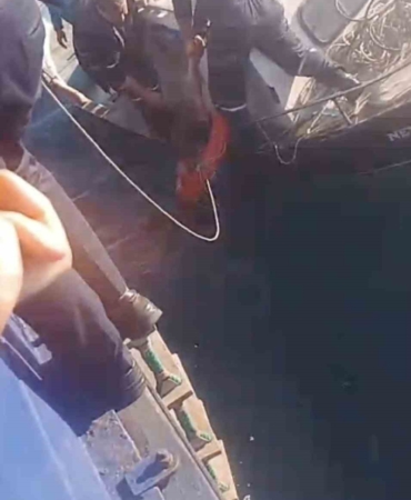 Feribottan atlayan kişiyi Gestaş personelleri ve balıkçılar kurtardı